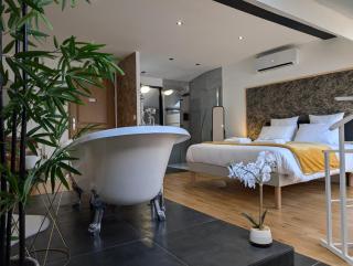 La Suite - Villa Valmy - Hypercentre - Gare SNCF - 5