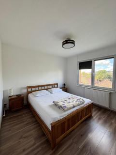 ALE TEO APARTAMENT - Târgu-Mureş - 5