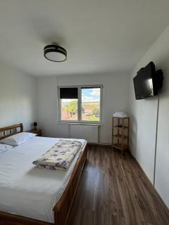 ALE TEO APARTAMENT - Târgu-Mureş - 6
