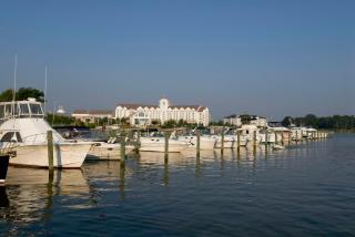 Hyatt Regency Chesapeake Bay Golf Resort, Spa & Marina - Cambridge - 9