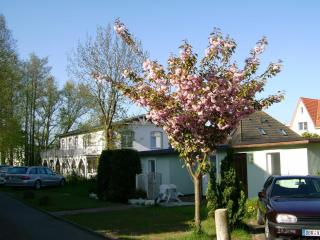 Träumerei - Kühlungsborn - 5
