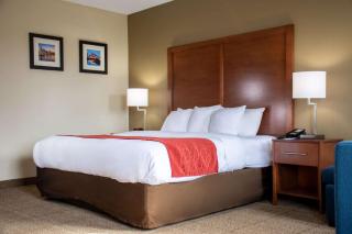 Comfort Inn Dickson - 1