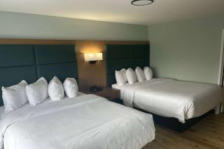 Wingate By Wyndham - Mansfield - 9