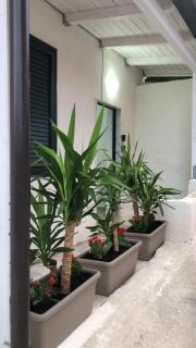 Komodo Rooms - 4