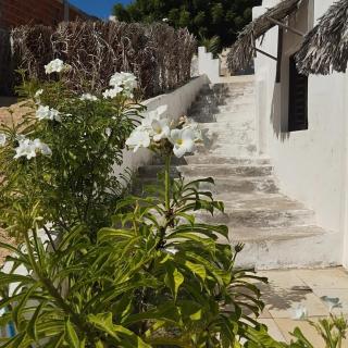 Casa Zion Land - Canoa Quebrada - 9