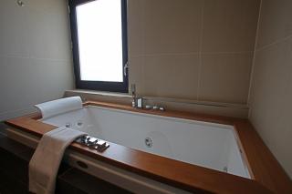 Hotel & Spa Savarin - Rijswijk, The Hague - Rijswijk - 6