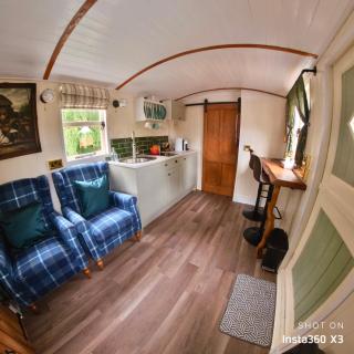 Alices Garden Two - 1