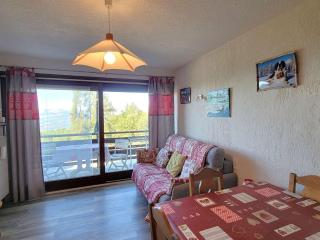 Appartement cosy 4 pers à Chaillol avec balcon, proche station - FR-1-393-144 - 9