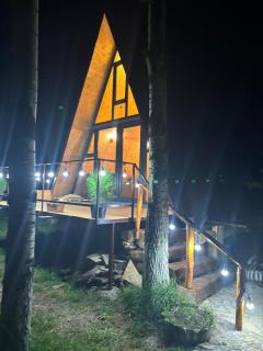 Zovaber hangsti goti - 1