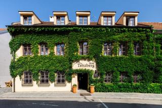 Hotel Tanzberg Mikulov - Mikulov - 0