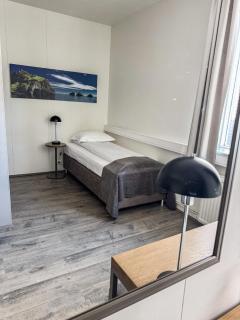 Hotel Vestmannaeyjar - Vestmannaeyjar - 9