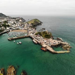 The Harbour Lights - Ilfracombe - 0