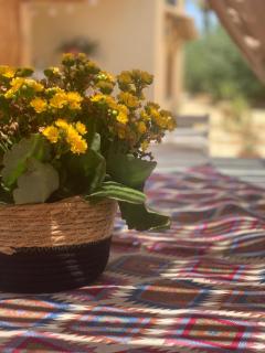 Casa Vacanze Lo Stagnone da Rosita - Marsala - 9