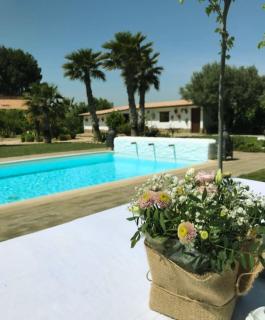 Finca Almenara de Copau - Saragozza - 9
