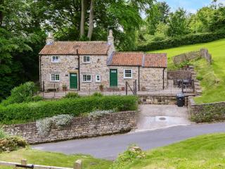 Tiggywinkle Cottage - Hawnby - 0