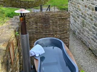 Tiggywinkle Cottage - Hawnby - 9