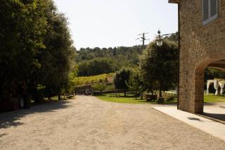 Podere il Dolco - La Merigge - 5