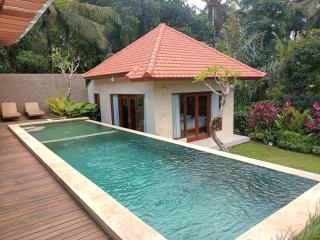 Ubud Dream House Villa 3 - Ubud - 0