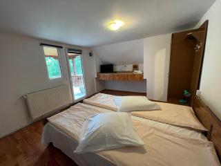 Casa Petruta Dambovicioara - Podu Dîmboviţei - 4