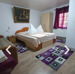 Casa Petruta Dambovicioara - Podu Dîmboviţei - 2