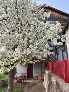 Obertraum Appartement und Ferienwohnung - Solnhofen - 0