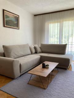 Trpejca Holiday Home - Trpeytsa - 8