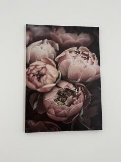 House of Flowers - Spinea - 7