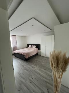 Wohnung - Elegance - Kassel - 8