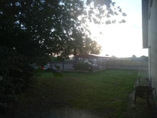Beier - Neustrelitz - 3