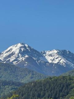 Dreams of Alaric - 0