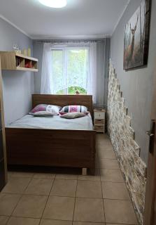Apartament Przy Parku - Colberga - 0