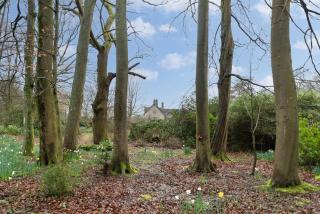 Goytre Hall - 6