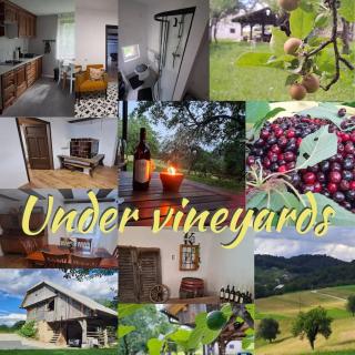 Pod vinogradi - Škocjan - 0