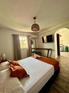 Eco-Hotel Palma É Coco - San Andrés - 4