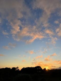Maes Y Neuadd Country House - Talsarnau - 4