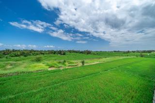 Villa Harvest Palace - Tanah Lot - 4