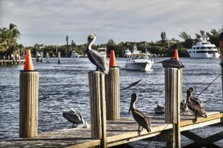 Floranada Condos - Pompano Beach - 1