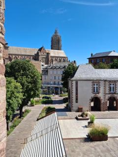 Hôtel Tour Maje - Rodez - 9