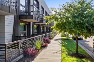 Holly House - Austin - 9