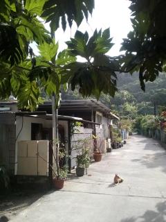 Chez Hina no Pacifica - 0