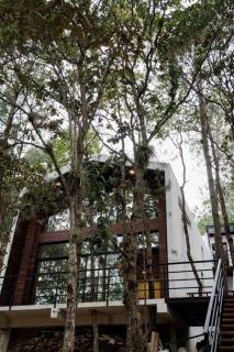 Lujosa casa en el Bosque cerca de la ciudad - San Cristóbal de Las Casas - 5