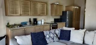 Cool Running Apartments - Saint Georgeʼs - 8