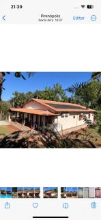 Ninho de curiango - 9