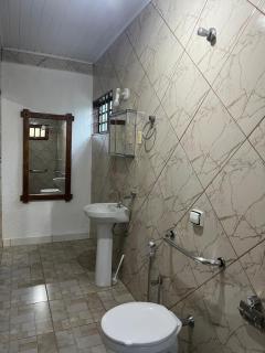 Ninho de curiango - 1