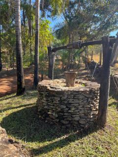 Ninho de curiango - 4