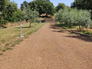 Il Melarancio B&B - Monterosi - 9