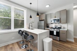 2 Bed & 3 Bath Chicago Condo - 7