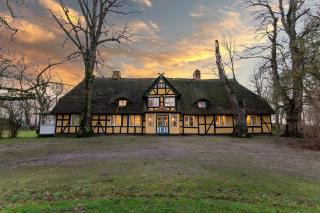 Herrenhaus Gut Dorotheenthal - 9