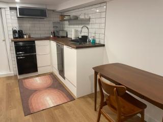 Lower level newly renovated studio apartment in central downtown location - Toronto - 0