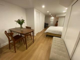 Lower level newly renovated studio apartment in central downtown location - 9
